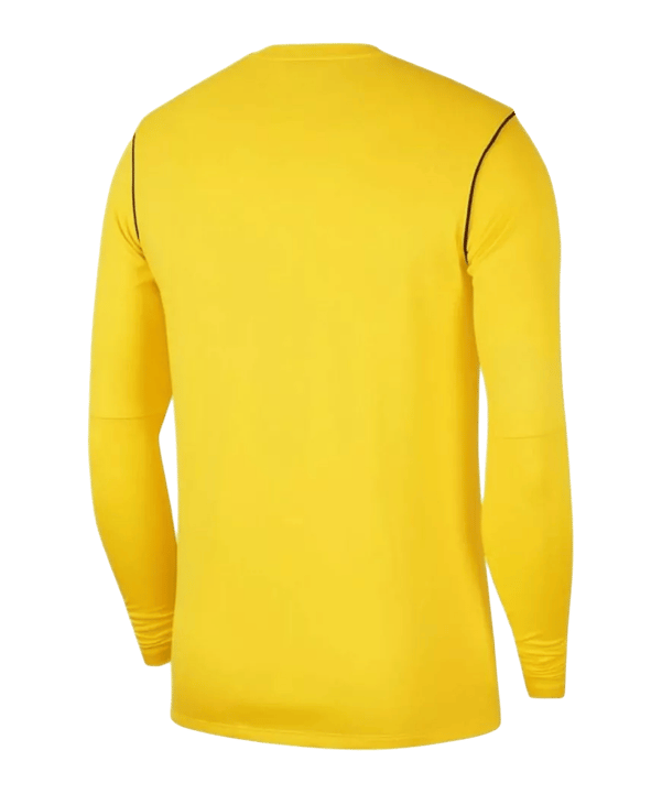 Nike Park 20 Sweatshirt Kids Gelb Schwarz F719 - gelb