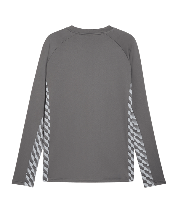 PUMA teamLIGA26 Training Sweatshirt Grau F13 - grau