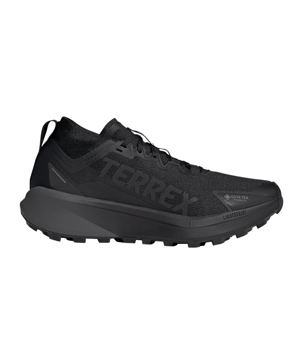 adidas Terrex Agravic Gtx Trailsschuh Schwarz
