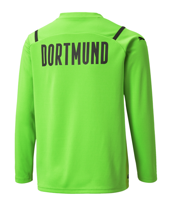 PUMA BVB Dortmund Torwarttrikot 2021/2022 Kids Grün F51 - gruen