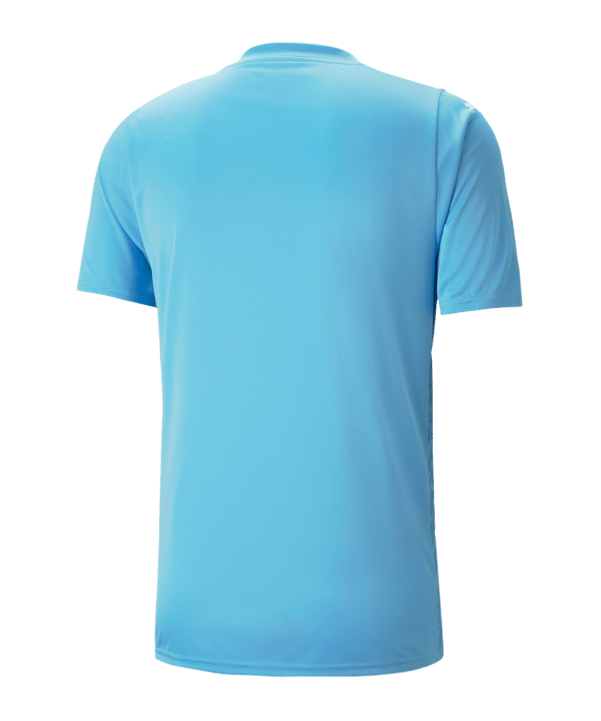 PUMA teamULTIMATE Trikot Blau F18 - blau
