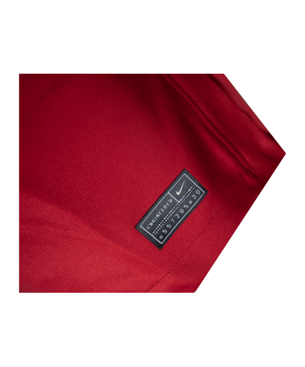 Nike Türkei Trikot Away EM 2020 Rot F687 - rot