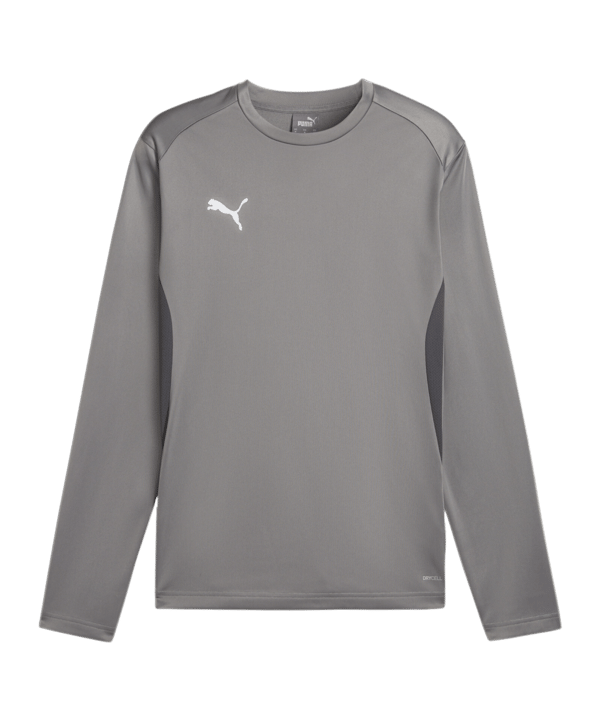 PUMA teamGOAL Training Sweatshirt Grau F13 - grau