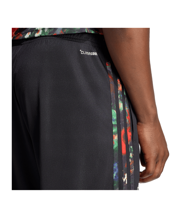adidas FC Bayern München Wiesn Pantaloncini Nero - nero