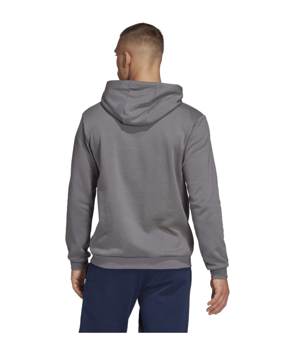 adidas Entrada 22 Hoody Grau - grau