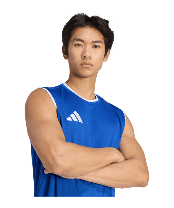 adidas Entrada 26 Trikot Blau - blau