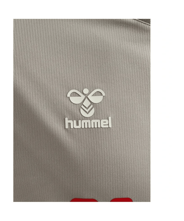 Hummel SSV Jahn Regensburg Trikot 3rd 2025/2026 Grau F2540 - grau