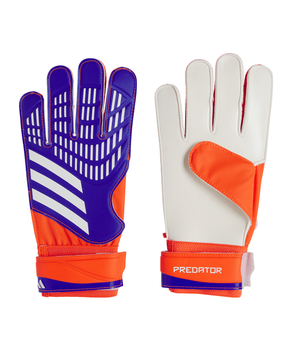 adidas Predator TRN Torwarthandschuhe Advancement Blau - blau