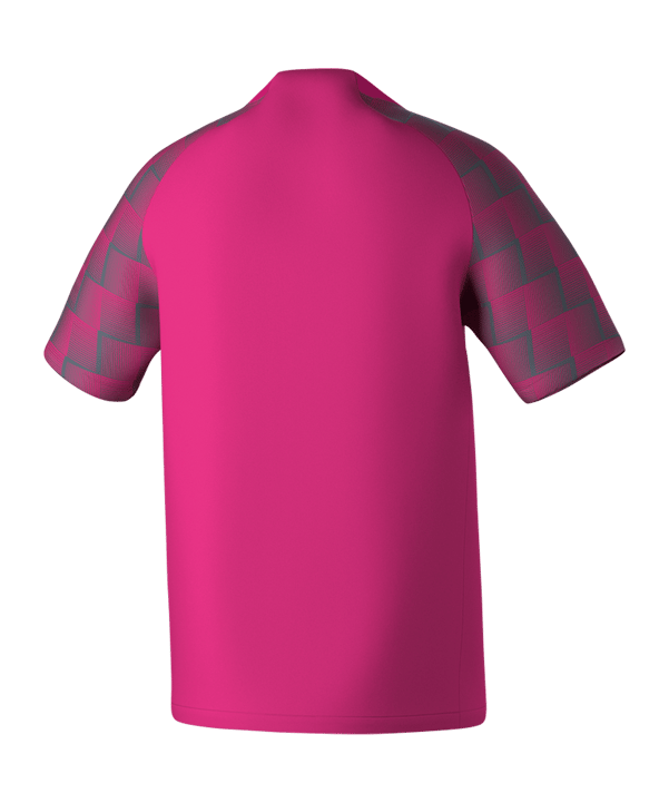 Erima Evo Star Trikot Pink Grau - rosa