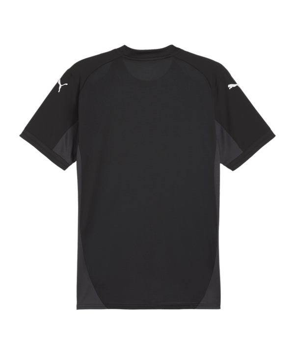 PUMA teamFINAL Trikot Schwarz Weiss Grau F03 - schwarz