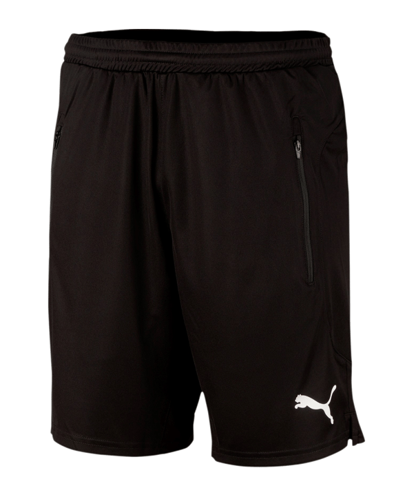 PUMA Schiedsrichter Short Schwarz F01 - schwarz