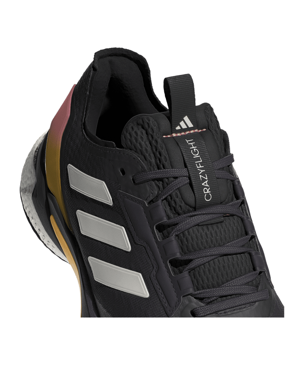 adidas Crazyflight 5 Indoor Shoes Purple - lila