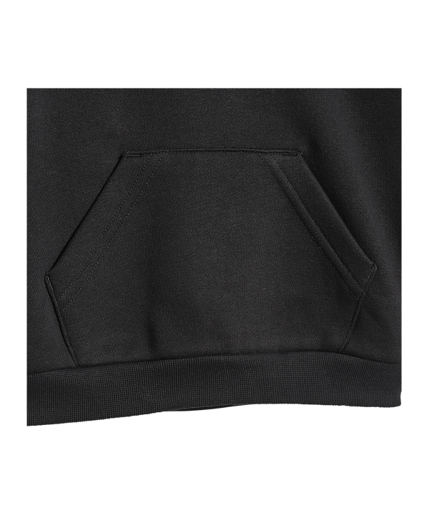 adidas Originals Adicolor Hoodie Set Black - schwarz