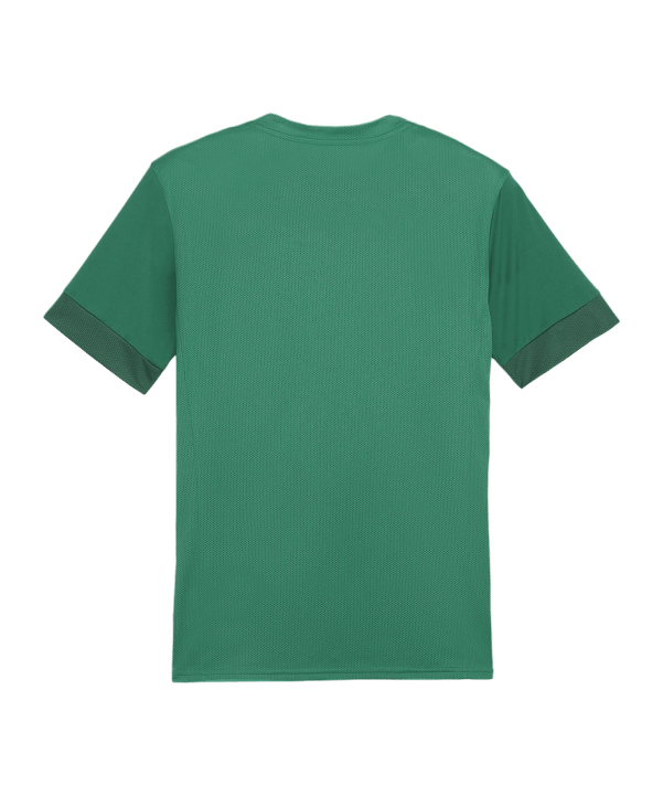 PUMA teamGOAL Matchday Trikot Grün Weiss F05 - gruen