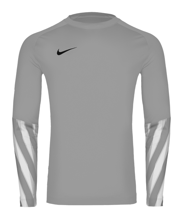 Nike Park V Trikot langarm Grau F097 - grau