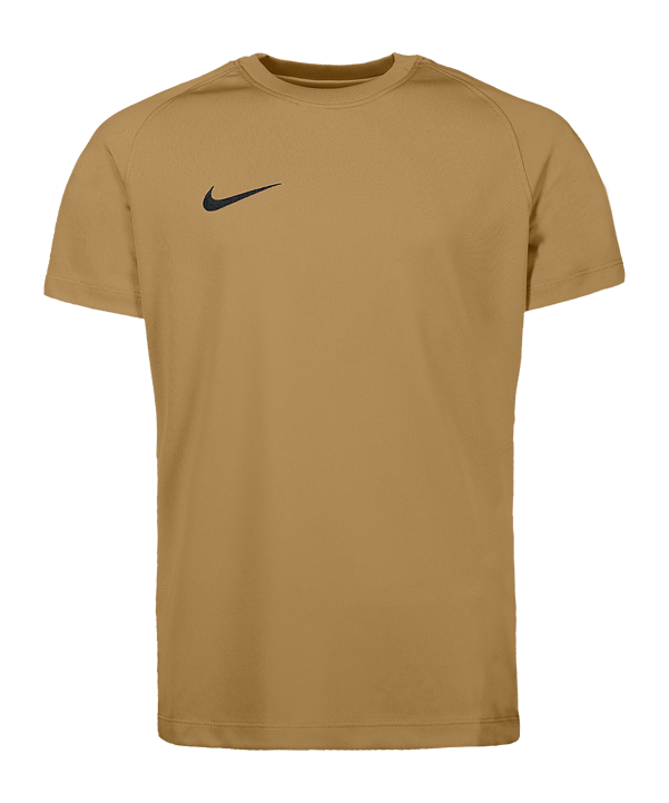 Nike Park VIII Trikot Kids Gold F729 - gold