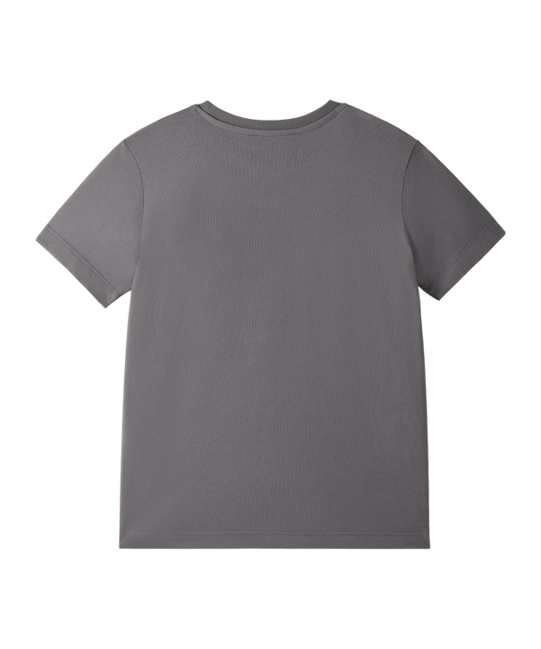 Galatasaray Istanbul 5 Stars T-Shirt Enfants Gris - gris