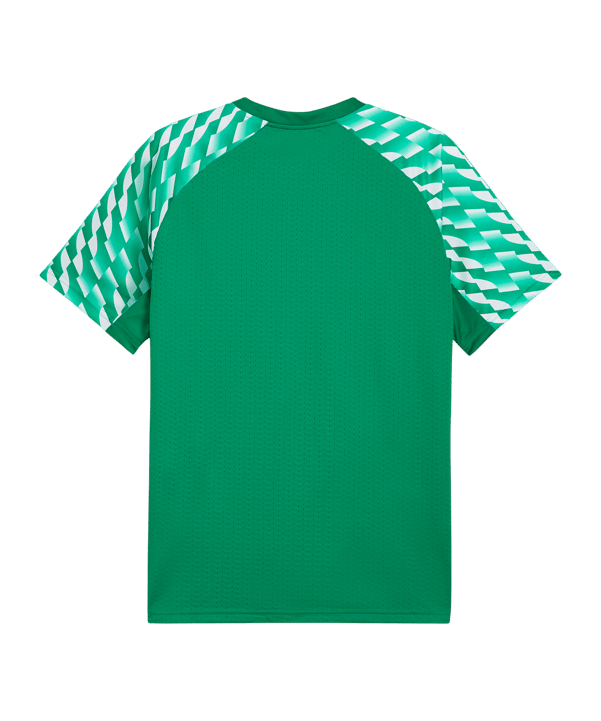 PUMA teamLIGA26 Trikot Grün F05 - gruen