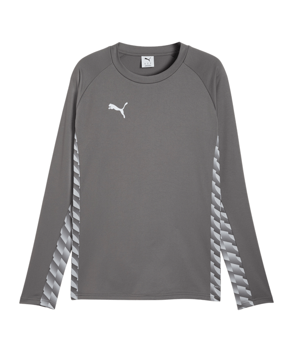 PUMA teamLIGA26 Training Sweatshirt Grau F13 - grau
