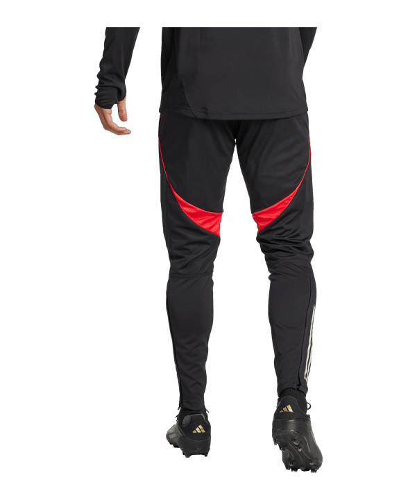 adidas Benfica Lissabon Trainingshose Schwarz - schwarz
