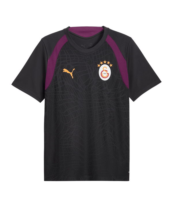 PUMA Galatasaray Istanbul Training Trikot Grau F05 - grau
