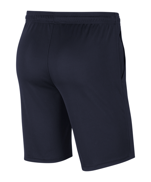 Nike Park 20 Knit Short Blau Weiss F451 - blau