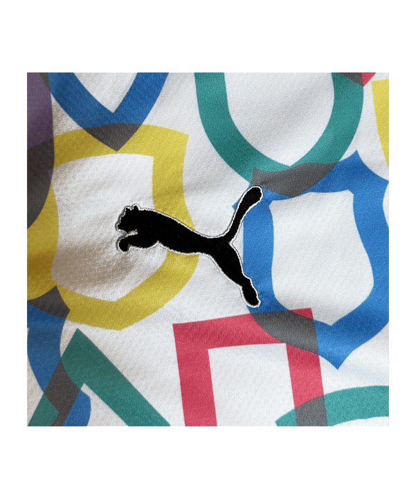 PUMA STRONGER TOGETHER Trikot 2.0 Promo Weiss F04 - weiss