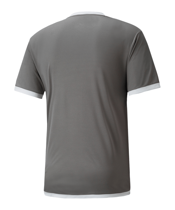 PUMA teamLIGA Trikot Grau F13 - grau