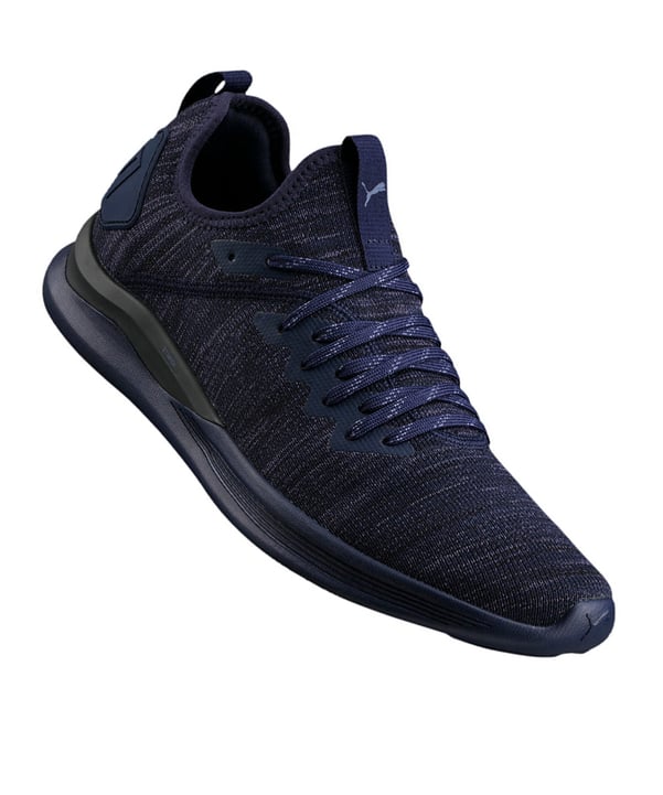 PUMA Ignite Flash evoKNIT Sneaker Blau F06 - blau