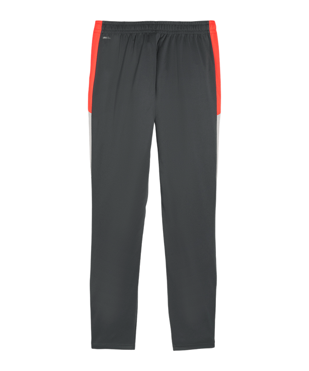 PUMA Individualliga Trainingshose Grau F10 - grau