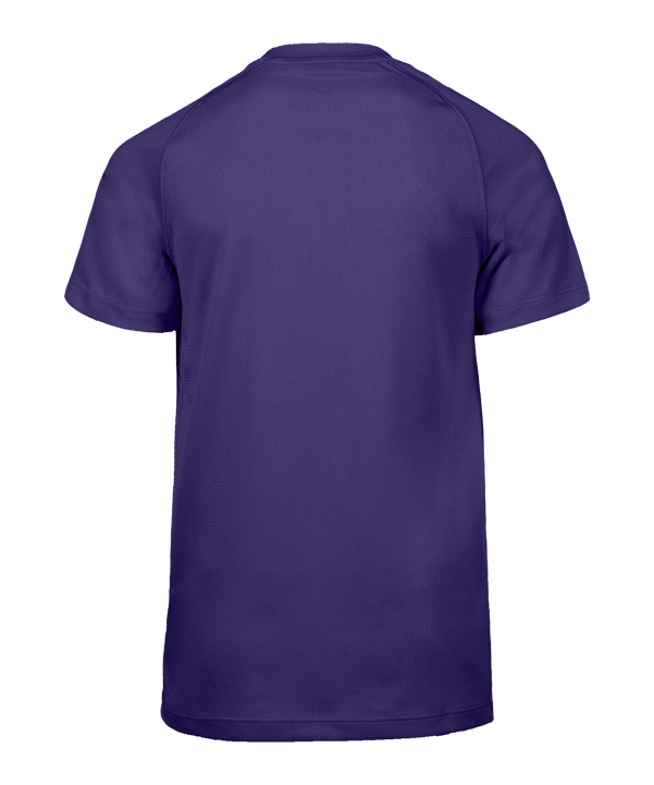 Nike Park VIII Trikot Kids Lila F547 - lila