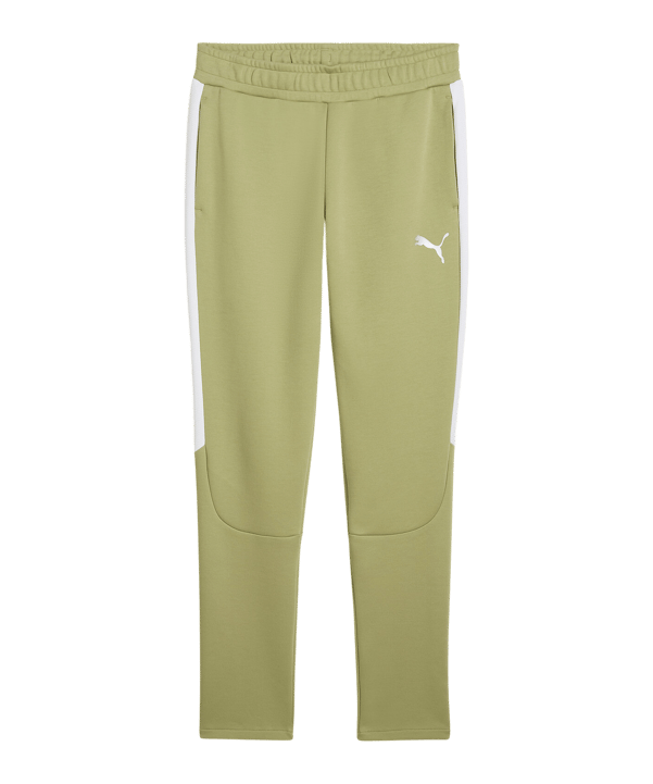 PUMA teamEVOSTRIPE Trainingshose Grün F40 - gruen