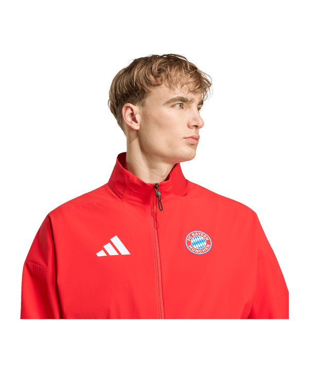adidas FC Bayern München Anthem Jacke Rot - rot