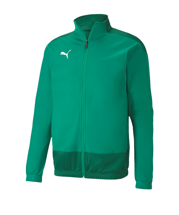 PUMA teamGOAL 23 Training Polyesterjacke Grün F05 - gruen