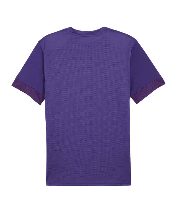 PUMA teamGOAL Matchday Trikot Lila Weiss F10 - lila