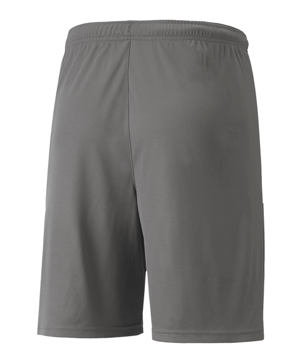 PUMA teamLIGA Short Grau Weiss F13 - grau