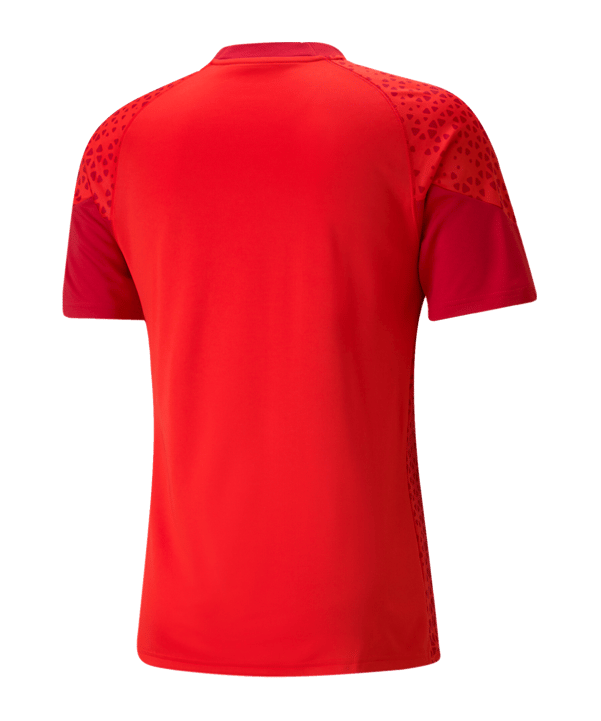 PUMA teamCUP Trainingsshirt Rot F01 - rot