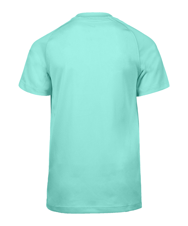 Nike Park VIII Trikot Kids Türkis F354 - tuerkis