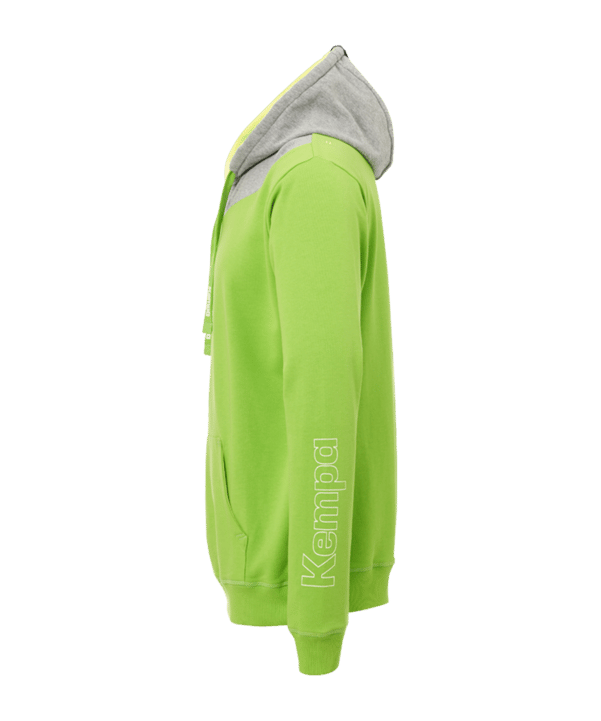 Kempa Core 2.0 Hoody Grün Grau F07 - gruen