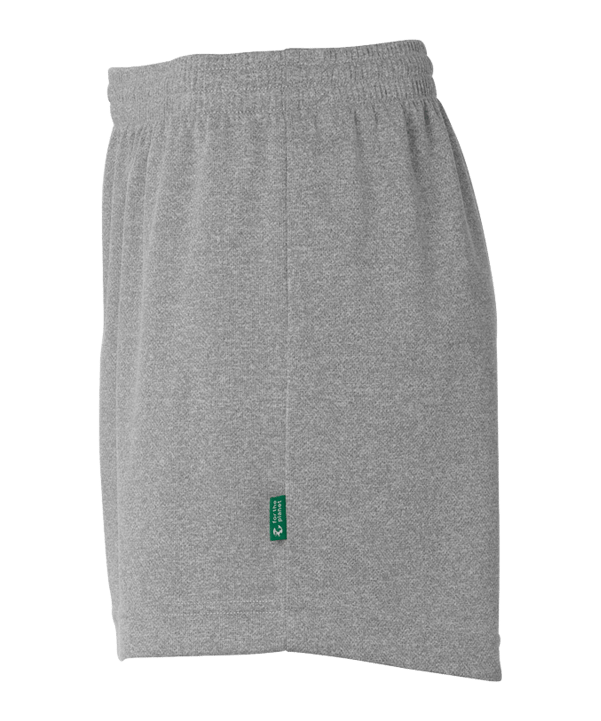 Kempa Team Short Damen Grau F31 - grau