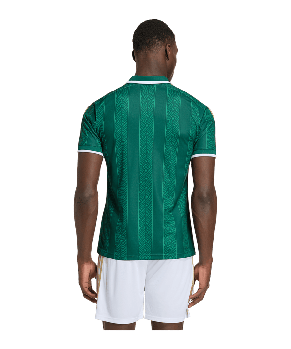 adidas RSA Südafrika Trikot Away WM 2026 Grün - gruen