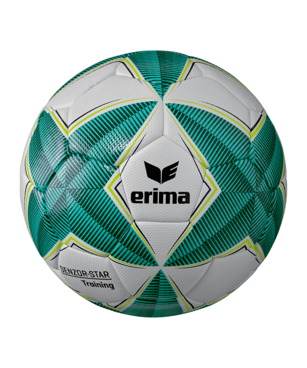 Erima Senzor-Star allenamento pallone allenamento  blu - blu