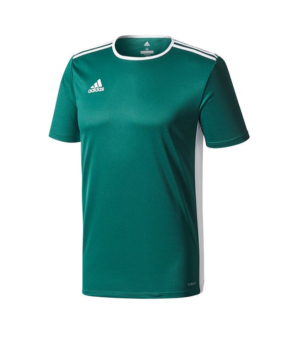 adidas Entrada Trikot 18 Kids Grün Weiss - gruen