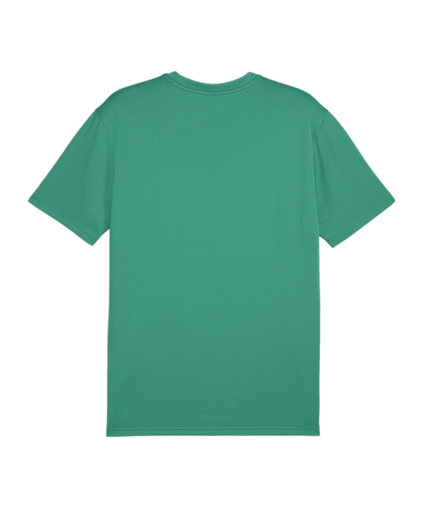 PUMA teamGOAL Trikot Grün F05 - gruen