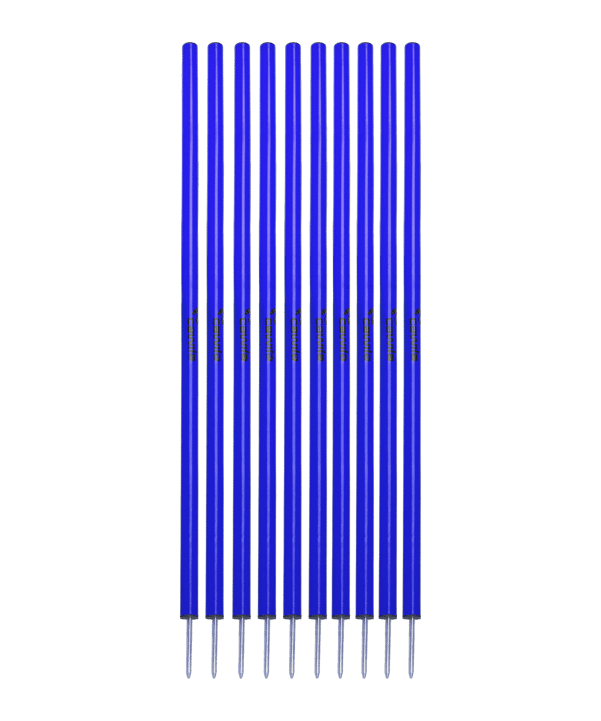 Cawila Slalom L 10Stk d33mm 160cm&13cm Spitz Blau - blau