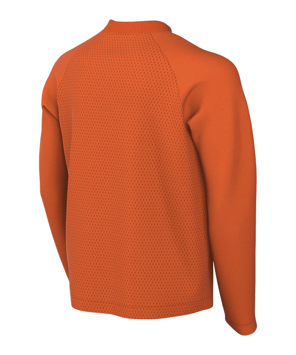 Nike Park VIII Trikot langarm Kids Orange F819 - orange