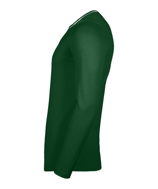 Nike Park 26 Longsleeve Grün F302