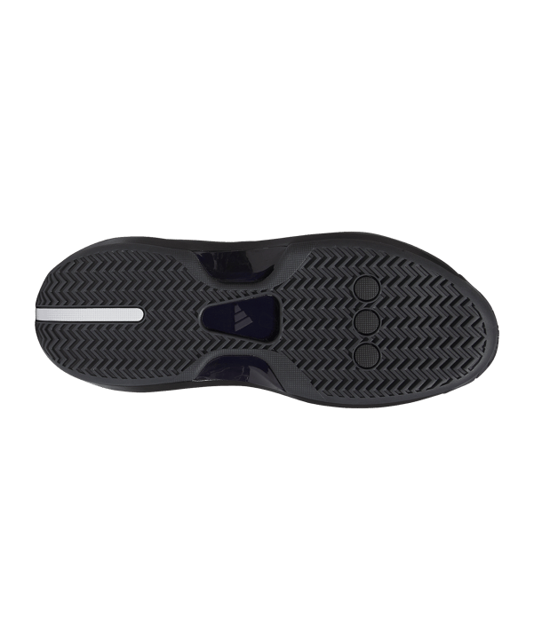 adidas CRAZY IIINFINITY Schwarz - schwarz