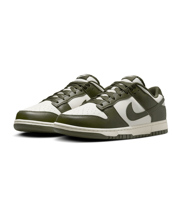 Nike Dunk Low Retro Sneaker Grau F102
