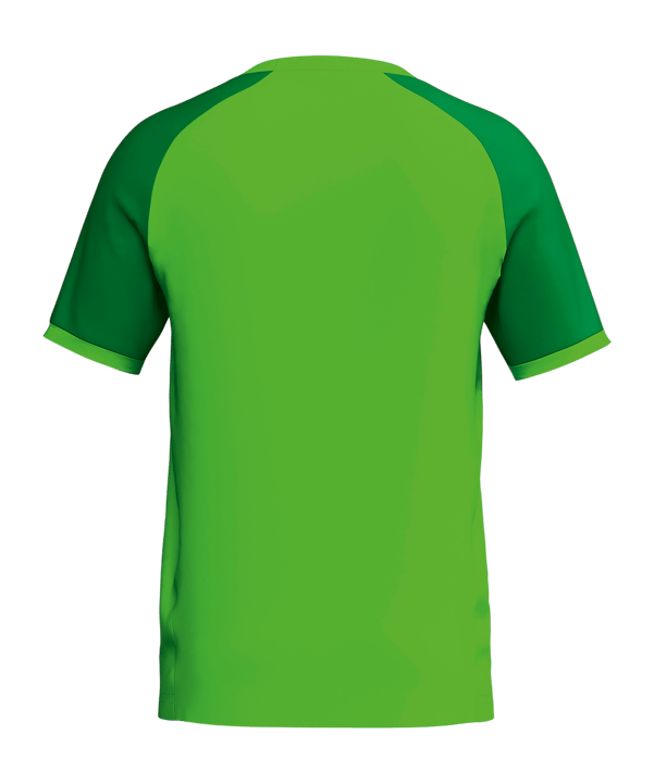 Erima WINGS Trikot Grün F3132606 - gruen